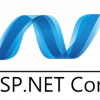 هاست شخصی .NET